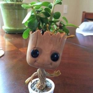 Meet your Posher, Chloe